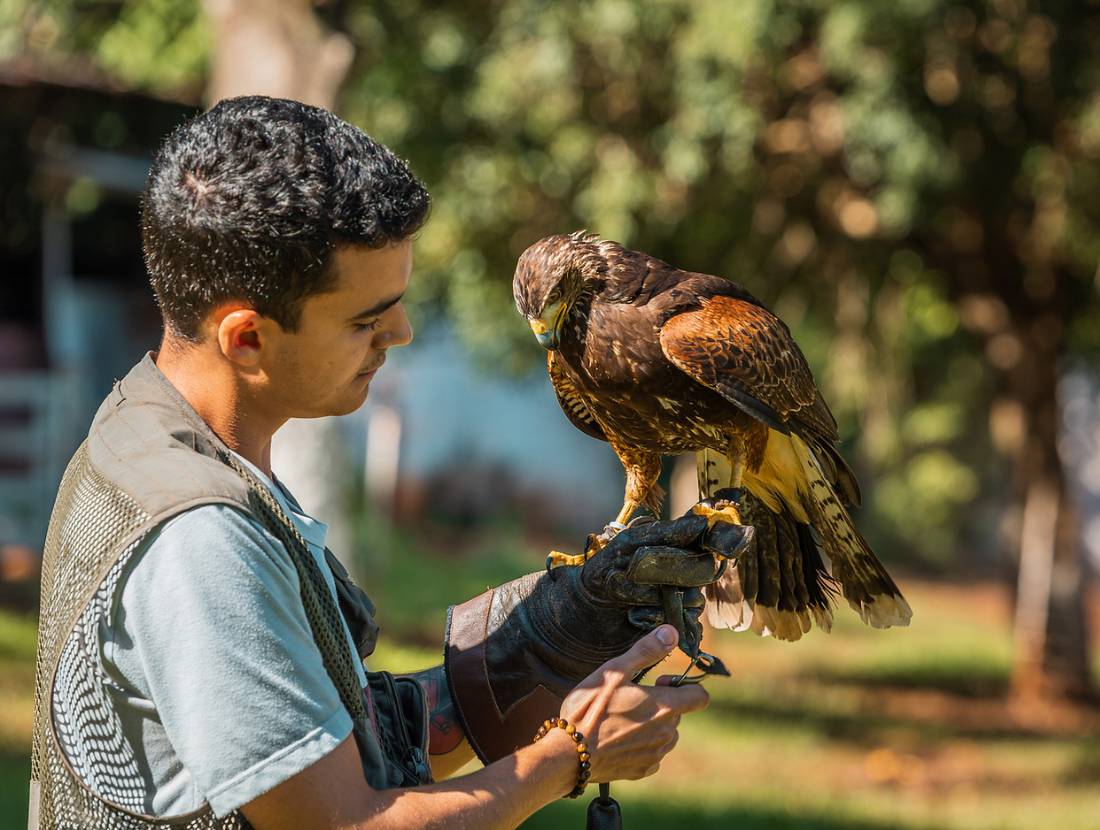 EcoPark Passeios em Foz